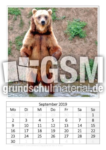 September_Kamtschatkabär.pdf